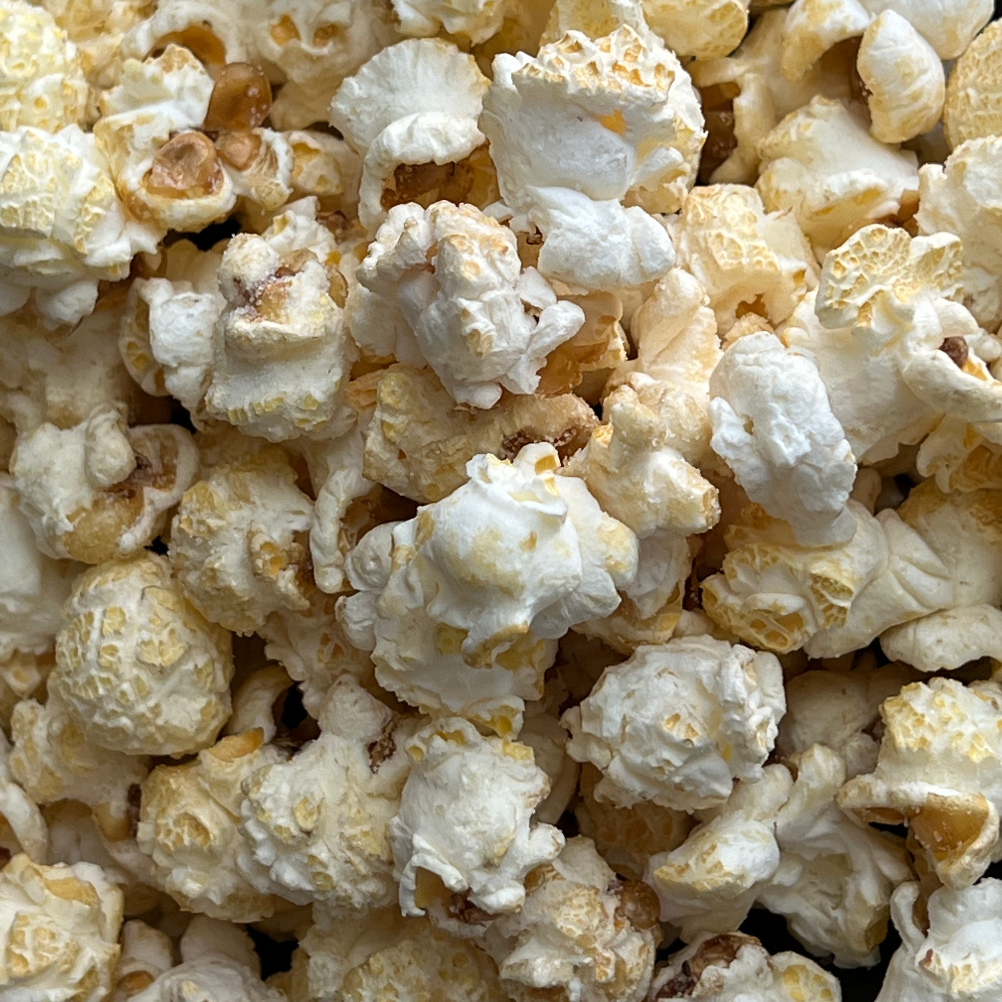 LEMON POPPYSEED– [POPPED] Artisan Popcorn